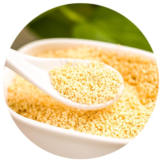 Lecithin